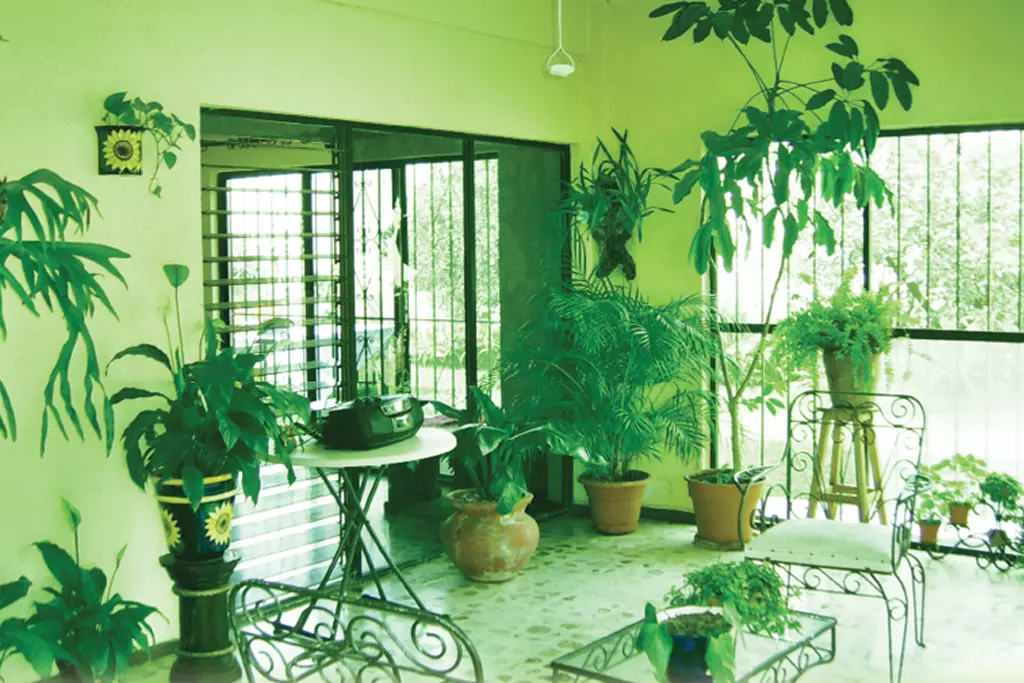 অন্দরে প্রকৃতির ছোঁয়া