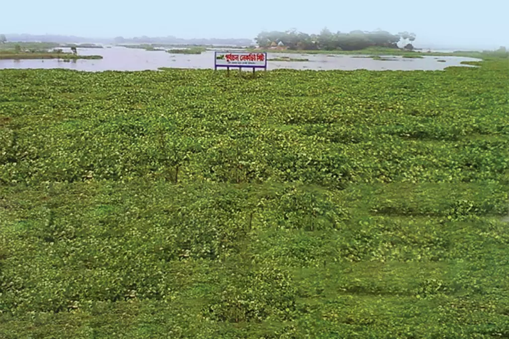 জলাভূমি ভরাট করে চলছে আবাসন প্রকল্প