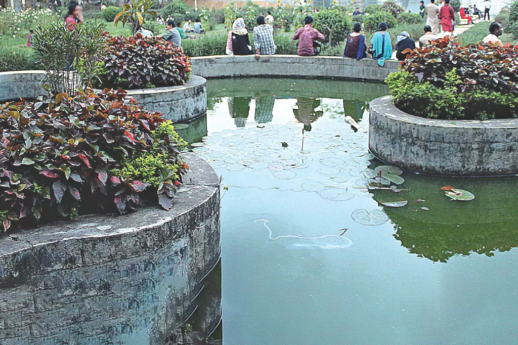 পার্কের জলাধার