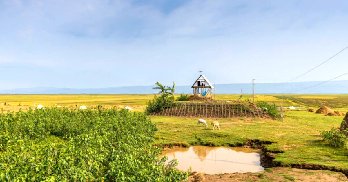 বন্যা প্রতিরোধী বাঁশের বাড়ি নির্মাণের এখনই সময়