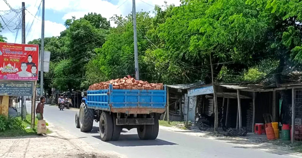 Bricks Transporting