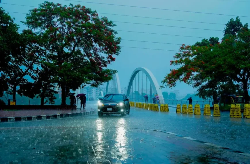 হাতিরঝিল: জলাশয় সঙ্কট ও সম্ভাবনা