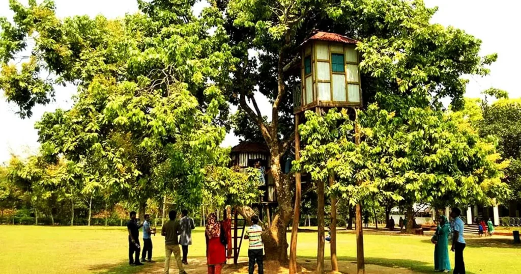 tree house
