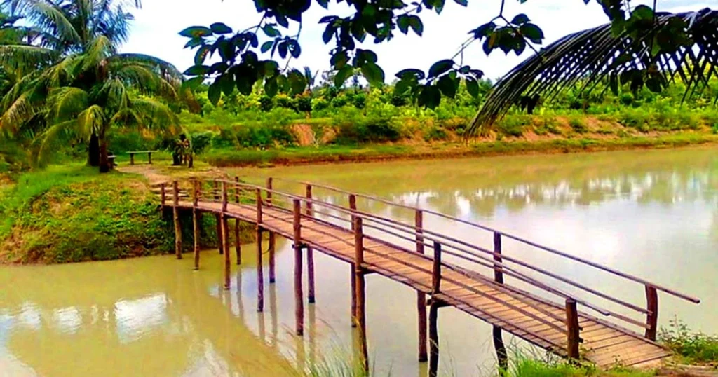 wooden bridge